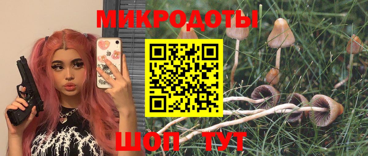 Димитровград  Галлюциногенные грибы мицелий  Вход с VPN  Галлюциногенные грибы Magic Shrooms 