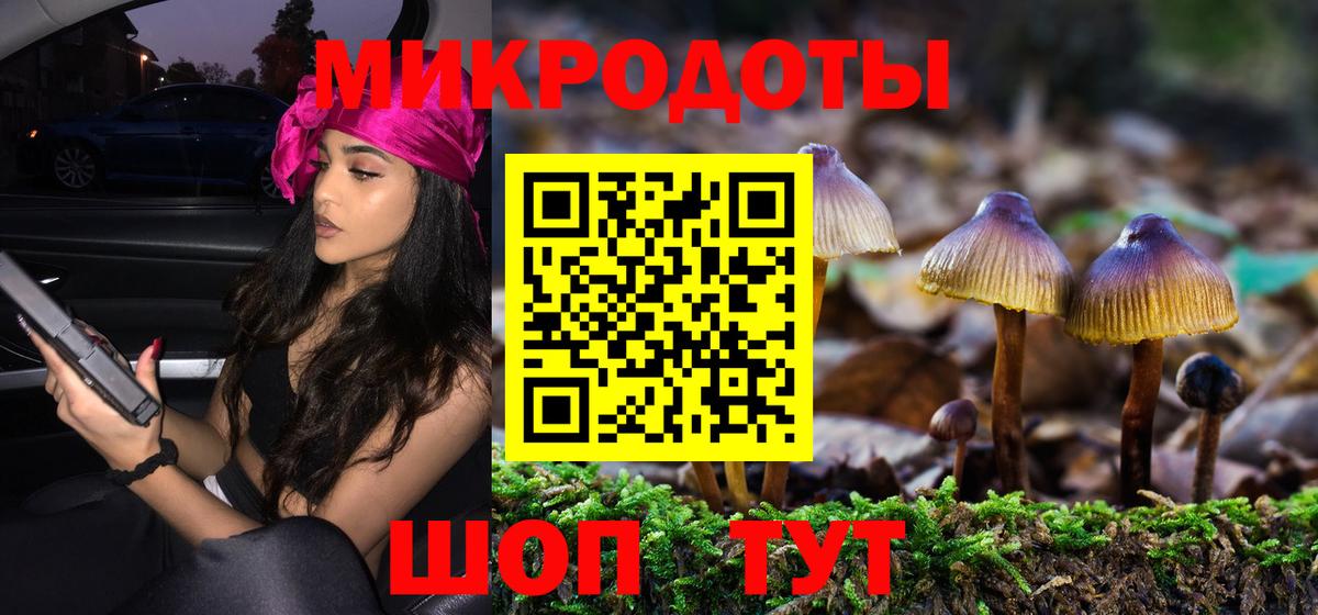 Псилоцибиновые грибы Cubensis Димитровград